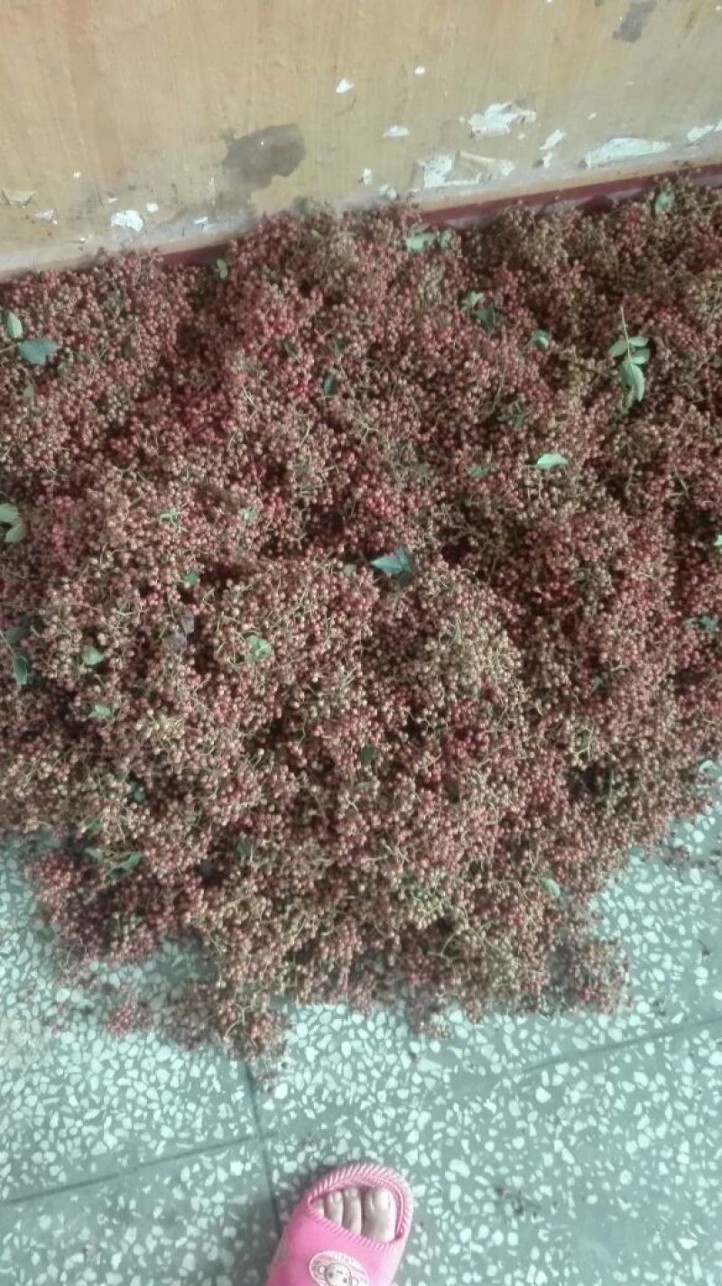 大红袍花椒一级干