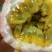 百香果紫果90~100g