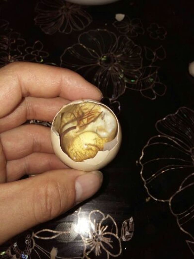 凤胚蛋食用50~60g