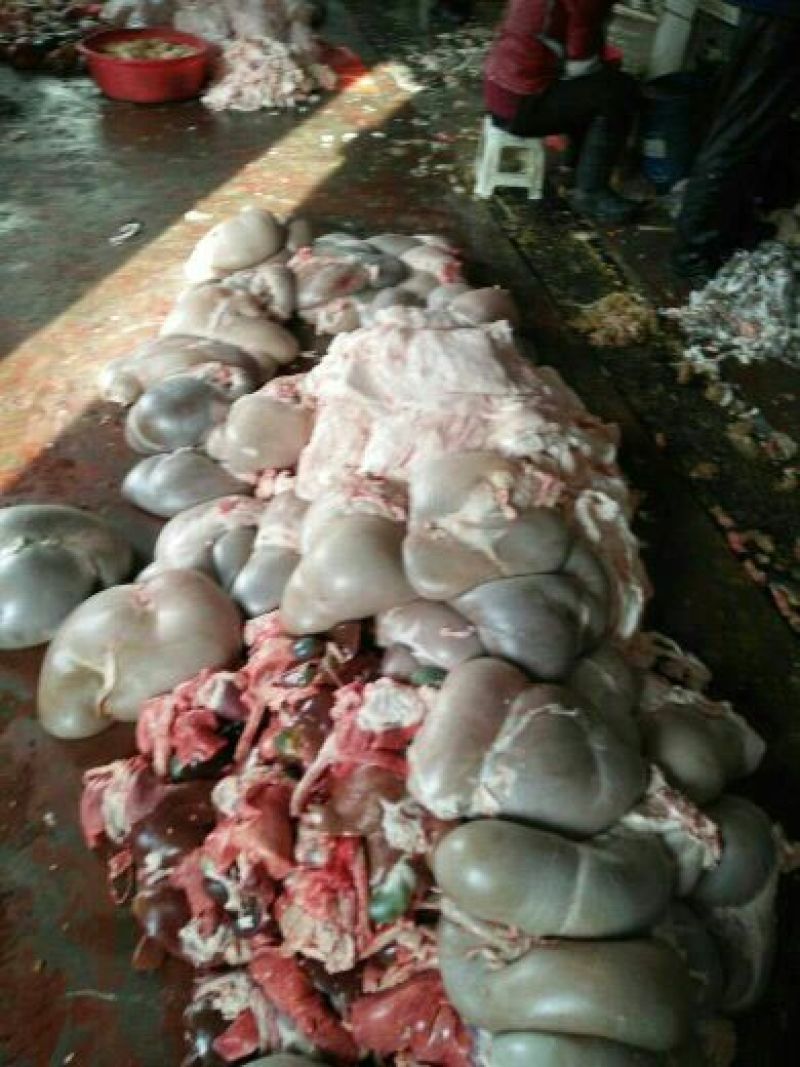 羊肚散装