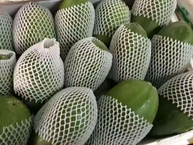 水果木瓜1.5~2斤
