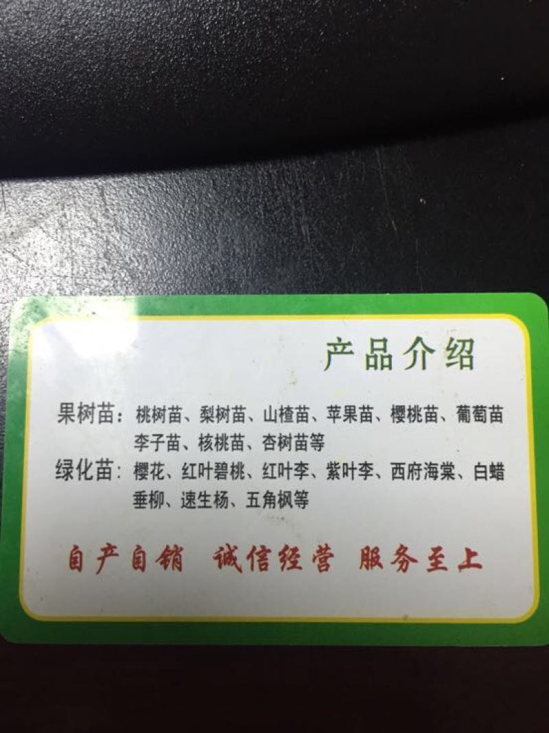 山楂苗清地处理中，一棵也是批发价格，需要的抓紧联系