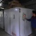 绿壳蛋鸡苗出壳苗35~45克雌