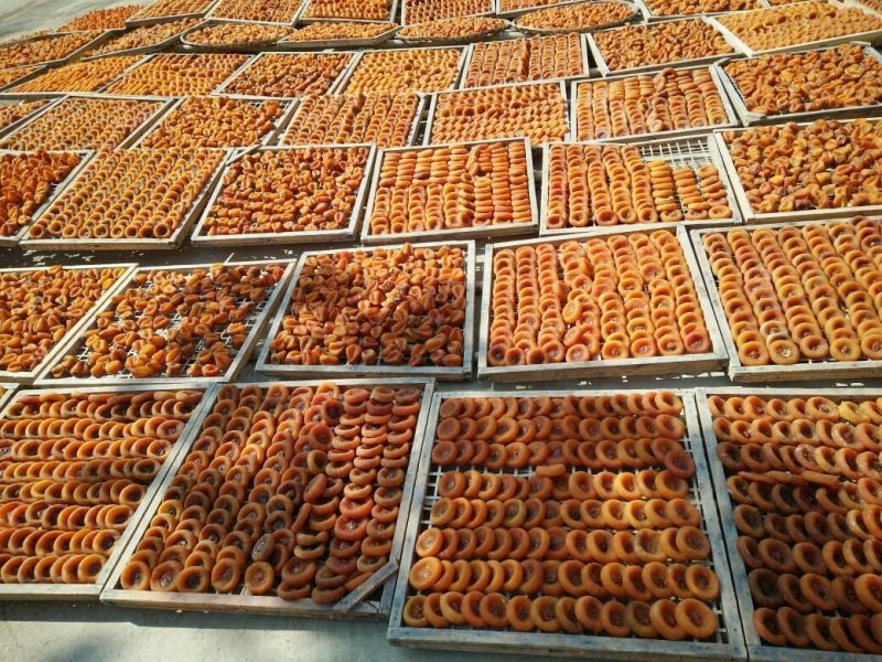 柿饼1两以下