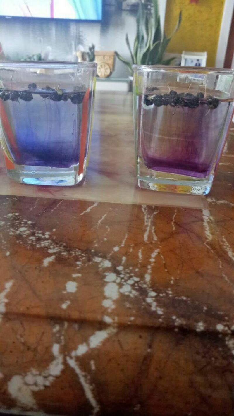 黑枸杞头茬干货