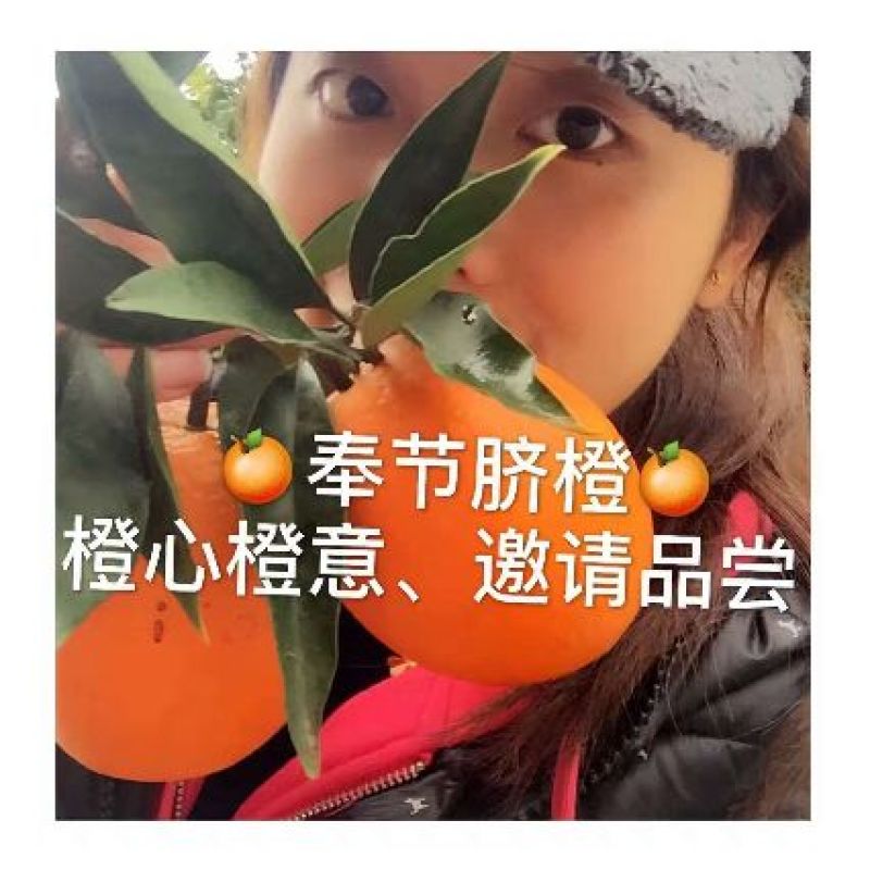 奉节脐橙70~75mm纯甜脐橙，不甜不要钱