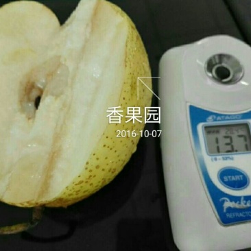 酥梨100~150g纸袋