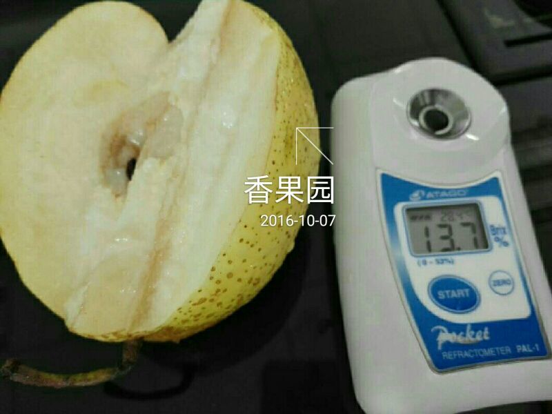 酥梨100~150g纸袋