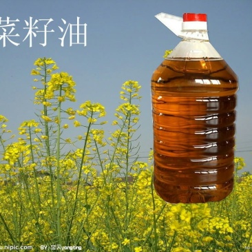 压榨菜籽油二级