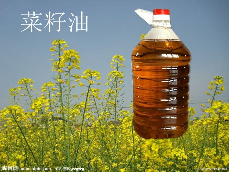 压榨菜籽油二级