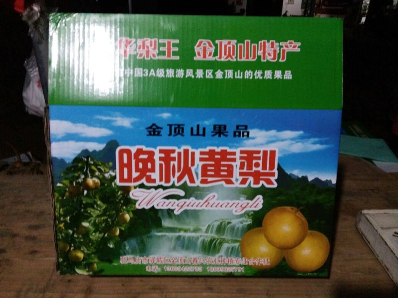 晚秋黄梨350~400g纸箱