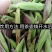 普洱茶