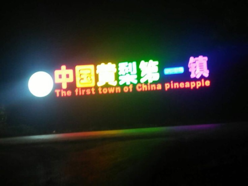 晚秋黄梨
