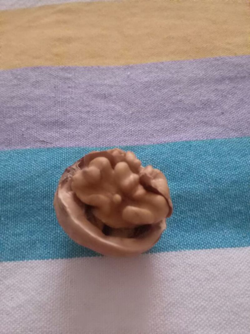 薄皮核桃去皮干