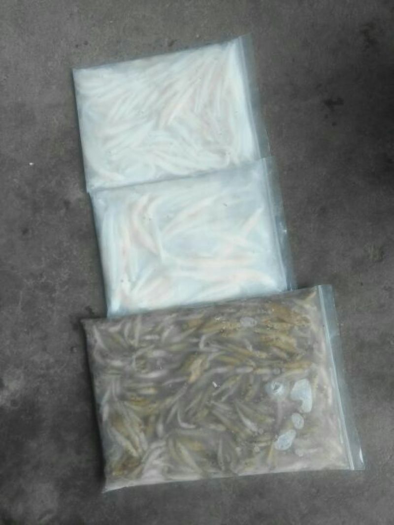 河虾冰鲜虾26~30只/kg