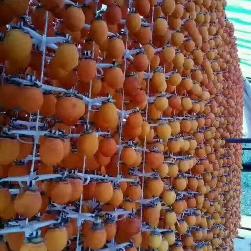 柿饼1两以下