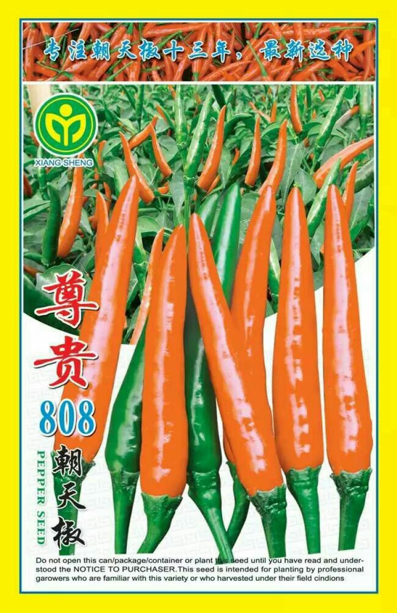 甜玉米种子97%