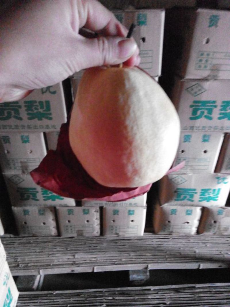 贡梨200~250g纸袋