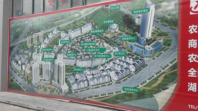 五峰绿茶