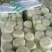 山东白菜，北京新三号白菜，4~6斤净菜大量供应，欢迎致电