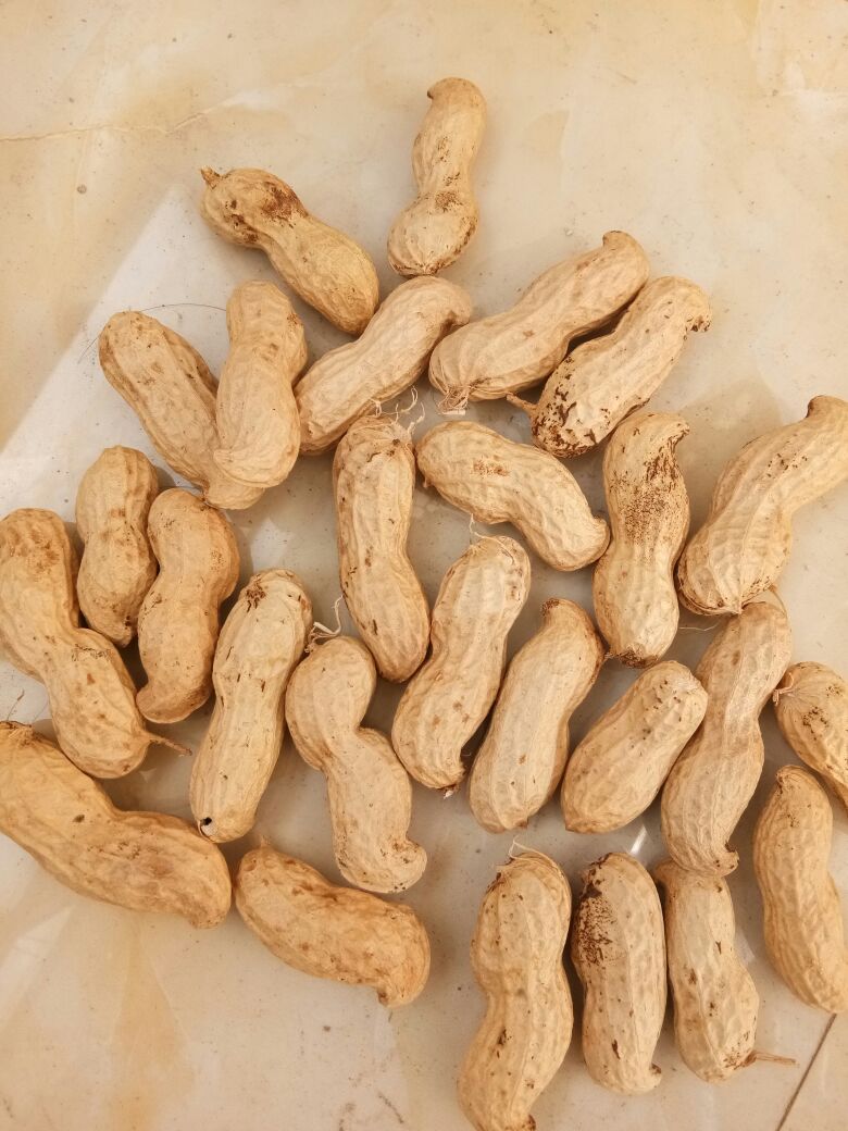 医学博士生学年鉴定,关于吴磊的网名(6-12位),