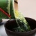 竹筒酒