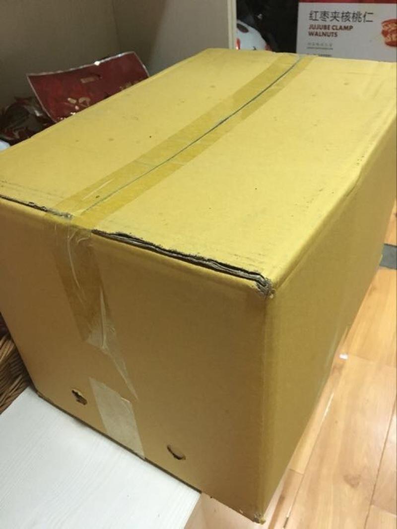 新新2号核桃
