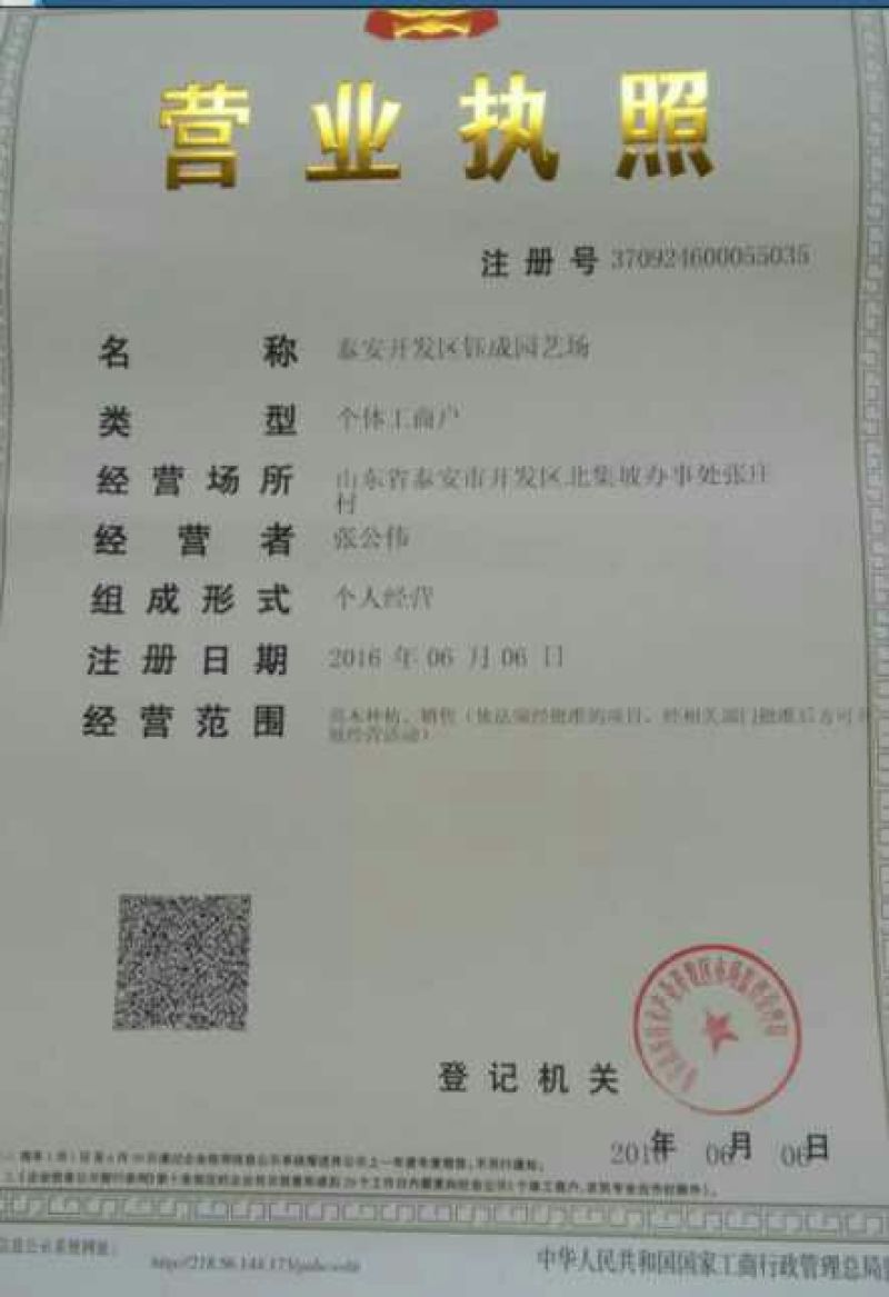 桃树2cm以下1.5~2米