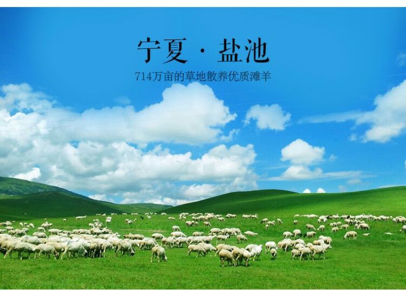羊后腱绵羊肉盐池滩羊肉