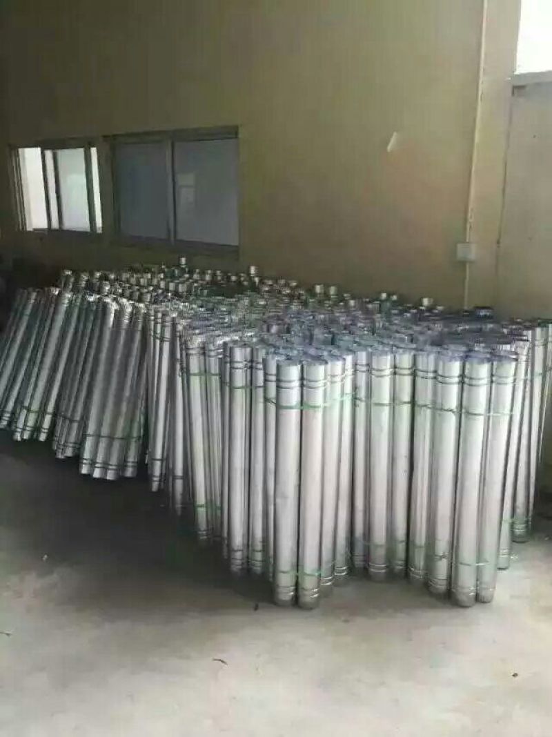 狮头鹅苗250g以上