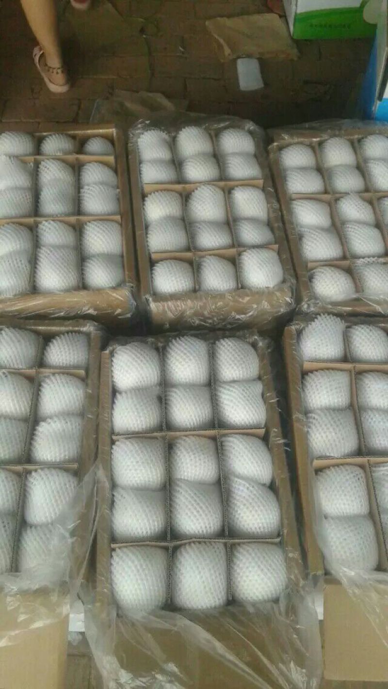 雪花梨300~350g纸袋