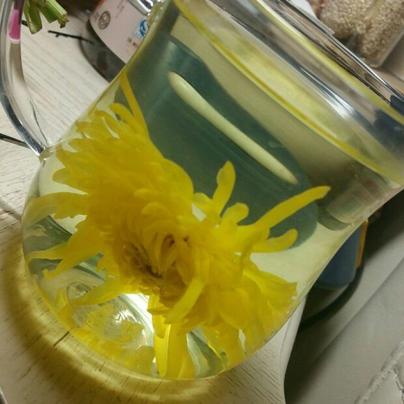 药用菊花袋装