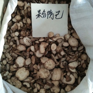 防己