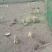 熏兔包装