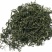 本山茶特级