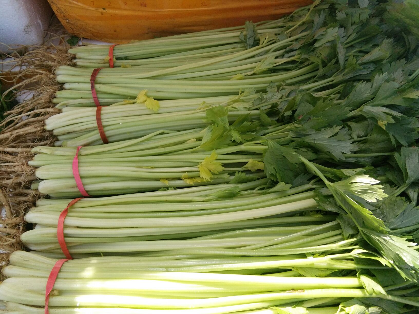 西芹百合怎么做_西芹百合的做法_jmy的私房菜_豆果美食