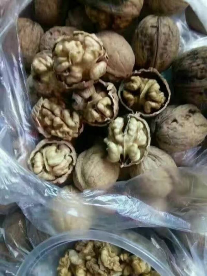 薄皮核桃去皮干