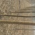 国槐8~10cm6~8cm1~2米