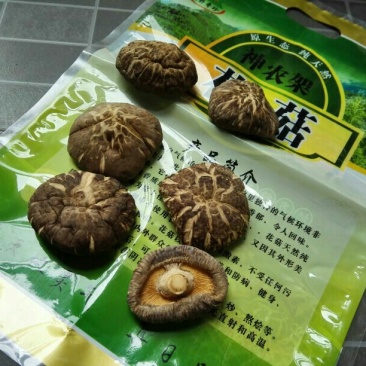 红富士苹果