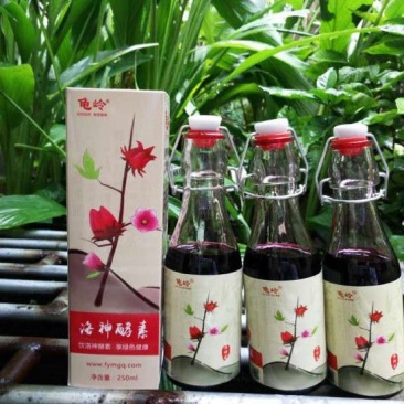 玫瑰茄