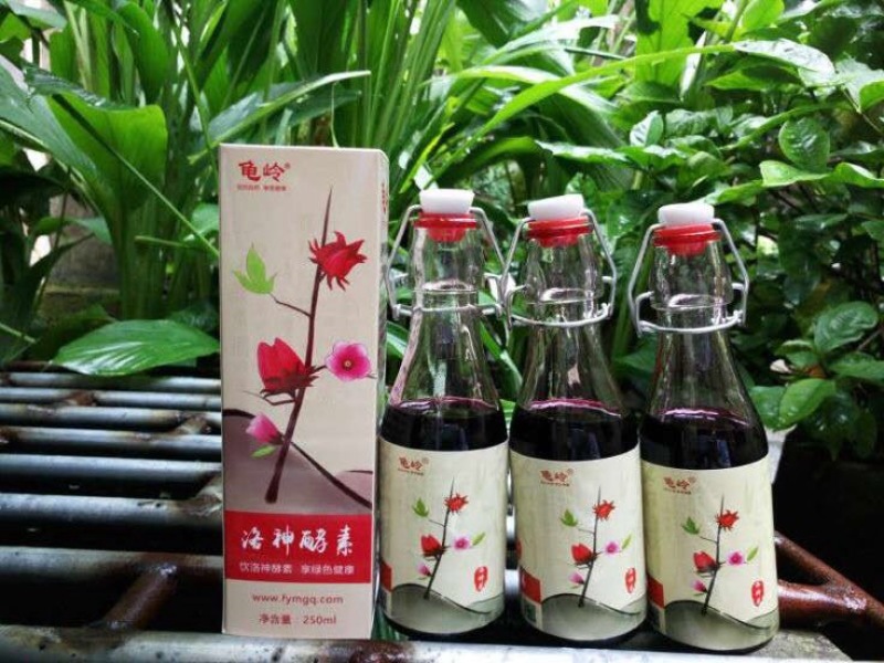 玫瑰茄