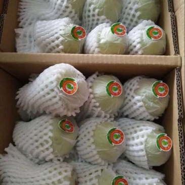 香梨