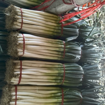 大葱25~30cm毛葱2cm左右