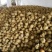 富硒梨600g以上纸加膜