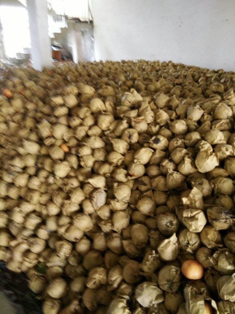 富硒梨600g以上纸加膜
