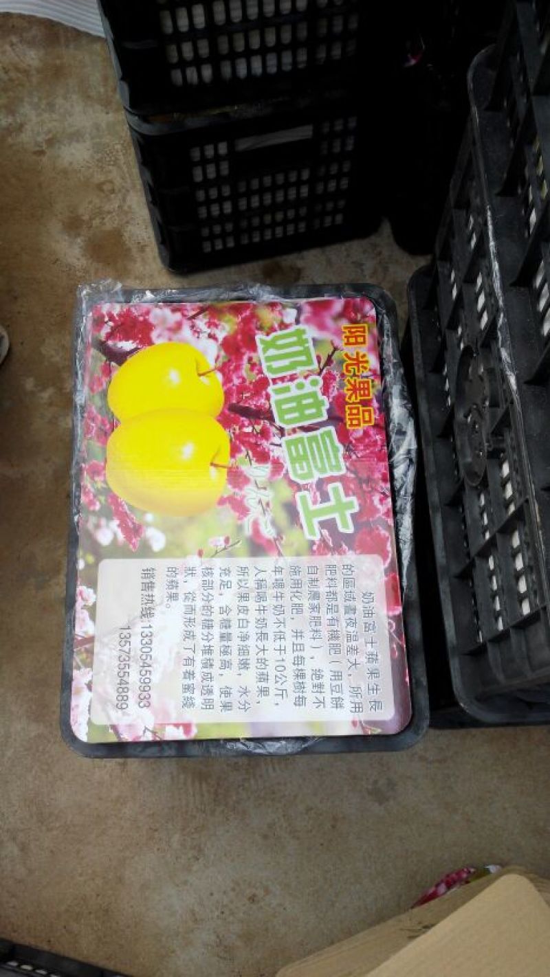 奶油富士