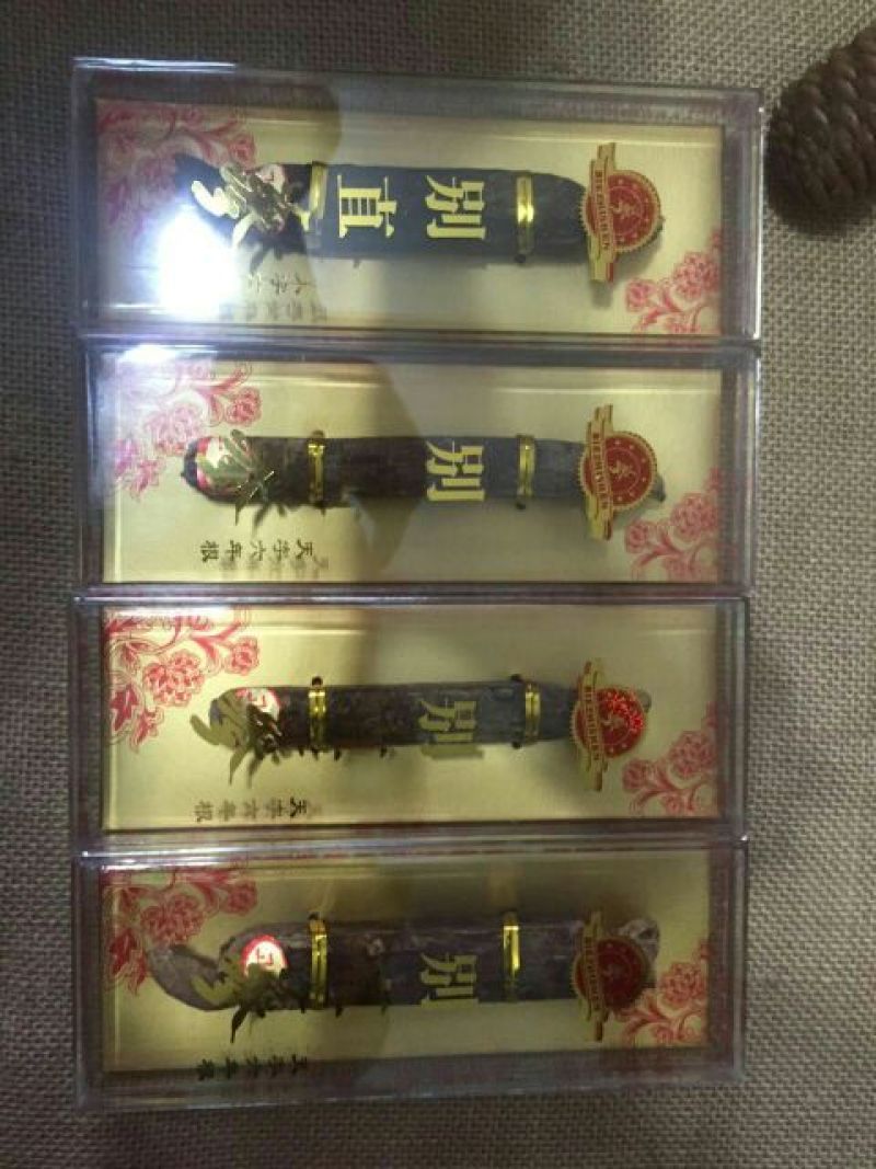 高丽参