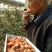 柿饼1~2两