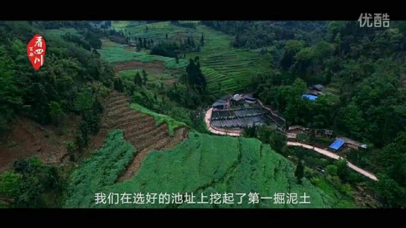 雅鱼食用7两