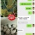 核桃去皮干